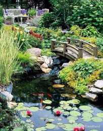 庭院水景的生態運用形式