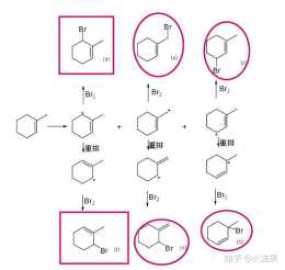 2-甲基環己烯與NBS反應得到什麼產物，反應機理是什麼？