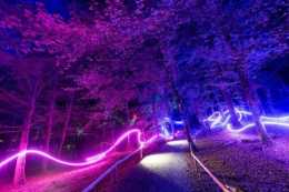 德斯凱索花園魔法森林，一場奇妙的公園夜遊之旅