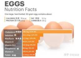 減肥到底該不該吃蛋黃？一起來看看吧