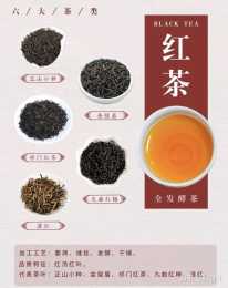 荷韻軒茶道 | 六大茶類細分代表茶及茶葉小知識