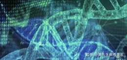 DNA測序最快需要幾個小時？