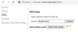 如何清除瀏覽器的DNS快取？