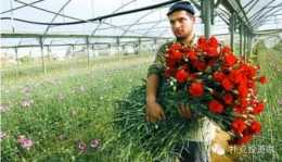 以色列農業：讓沙漠開滿鮮花