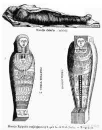 見識一下迄今發現的第一具儲存完好的古埃及孕婦木乃伊！