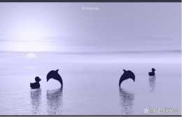 世界海豚日，讓我們共護這一片碧海藍天