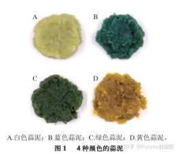 蒜泥的4種顏色和風味（1）