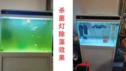 魚缸殺菌燈的正確使用方法，魚缸殺菌燈擺放位置圖，魚缸殺菌燈一般開幾個小時最佳