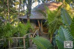 在茂密叢林裡建造一個個性溫馨竹屋 豈不美哉