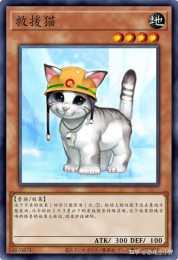 遊戲王禁卡目錄：救援貓