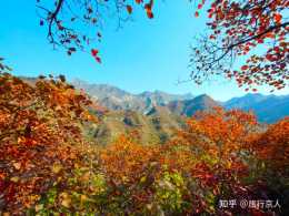 北京這裡的紅葉賽過香山，美過坡峰嶺，目前正值最佳觀賞期