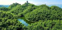 四川一處改名成功的景區，景區內竹林茂盛，有自己獨特的魅力